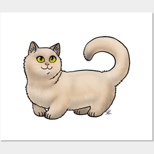 Cat - Munchkin Cat - Cream Shorthair Posters and Art